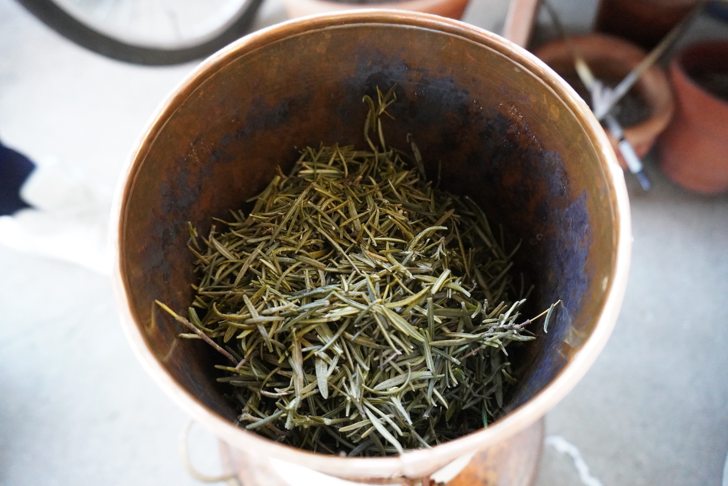 銅鍋の中に詰められた生のローズマリー